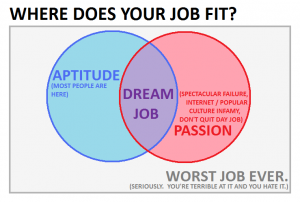 A Venn diagram showing where jobs lie between aptitude and passion.