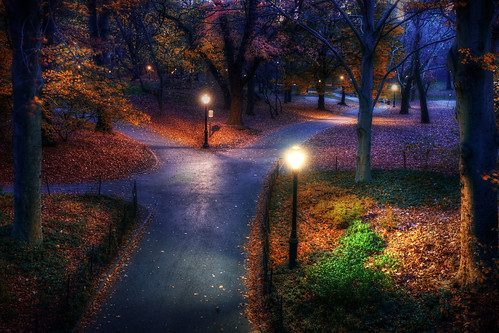 Central Park in the Fall